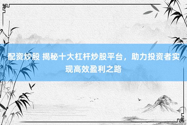配资炒股 揭秘十大杠杆炒股平台，助力投资者实现高效盈利之路