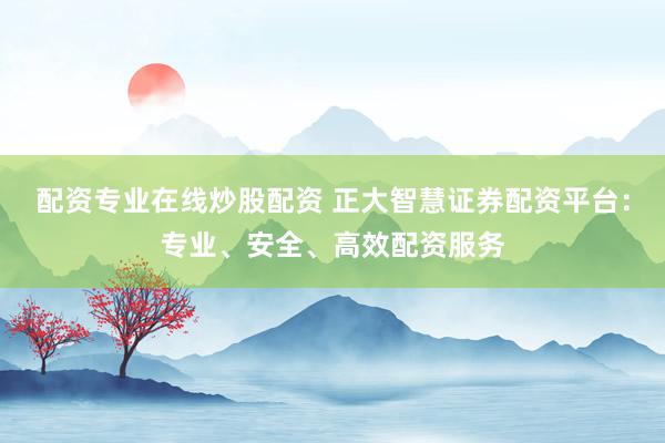 配资专业在线炒股配资 正大智慧证券配资平台：专业、安全、高效配资服务