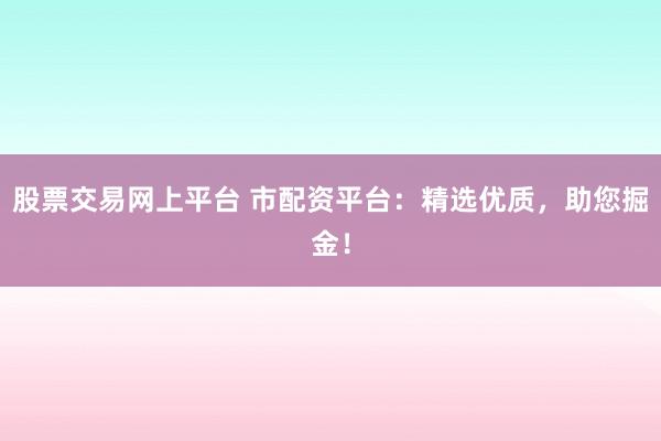 股票交易网上平台 市配资平台：精选优质，助您掘金！