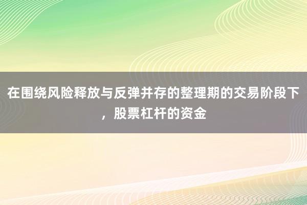 在围绕风险释放与反弹并存的整理期的交易阶段下，股票杠杆的资金