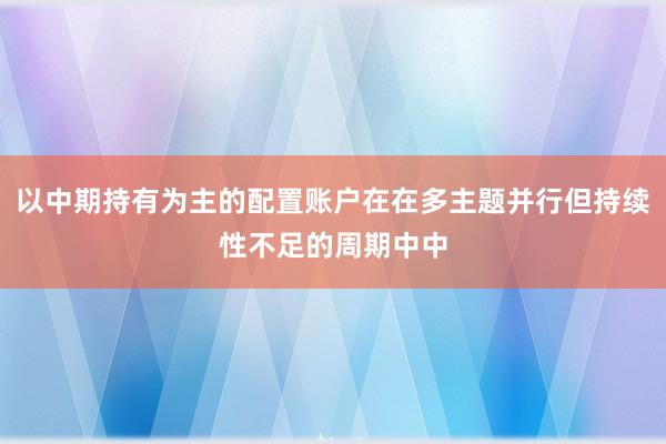 以中期持有为主的配置账户在在多主题并行但持续性不足的周期中中