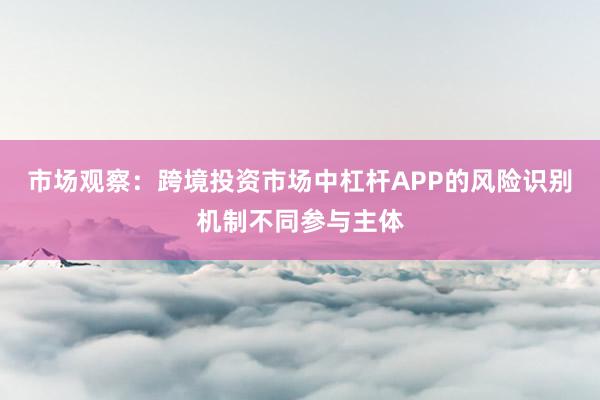 市场观察：跨境投资市场中杠杆APP的风险识别机制不同参与主体