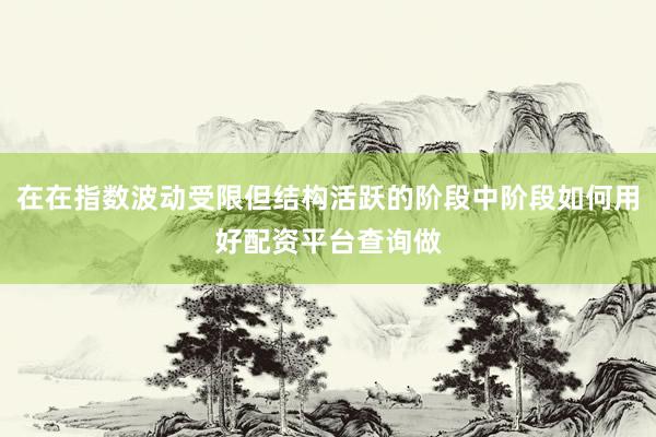 在在指数波动受限但结构活跃的阶段中阶段如何用好配资平台查询做