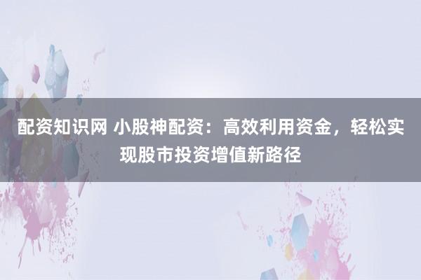 配资知识网 小股神配资:高效利用资金,轻松实现股市投资增值新路径