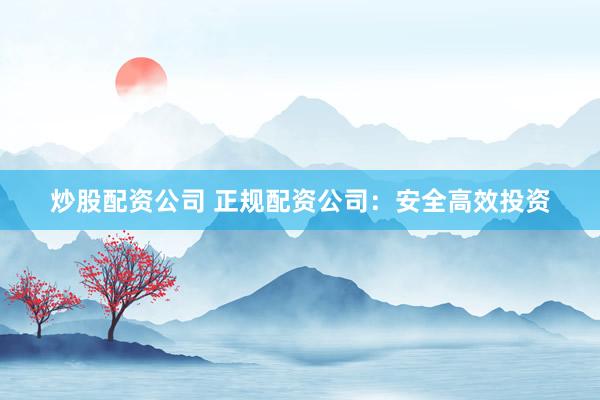 炒股配资公司 正规配资公司：安全高效投资